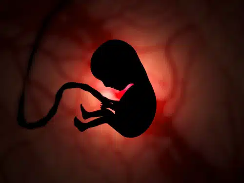 a developing fetus inside a womb, surrounded by amniotic fluid
